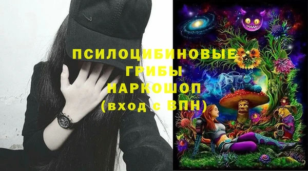 спиды Алексеевка