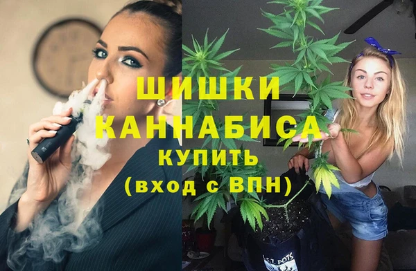 винт Алексин