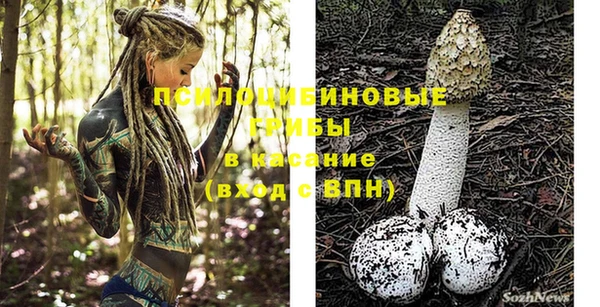 винт Алексин