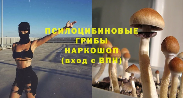 а пвп мука Алзамай