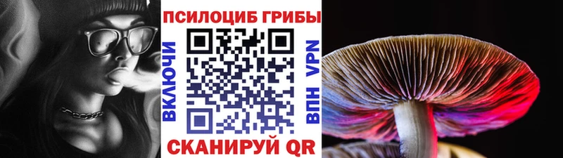mega ссылки  Белебей  сайты даркнета телеграм  Галлюциногенные грибы прущие грибы 